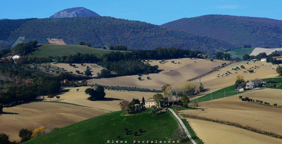 Bed and Breakfast Casale Il Cerqueto Сан-Северино-Марке Екстер'єр фото