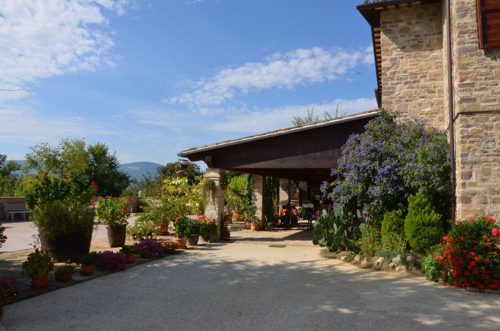 Bed and Breakfast Casale Il Cerqueto Сан-Северино-Марке Екстер'єр фото
