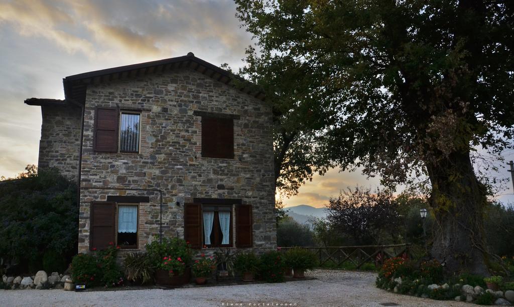 Bed and Breakfast Casale Il Cerqueto Сан-Северино-Марке Екстер'єр фото