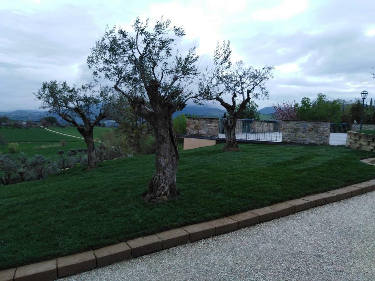 Bed and Breakfast Casale Il Cerqueto Сан-Северино-Марке Екстер'єр фото
